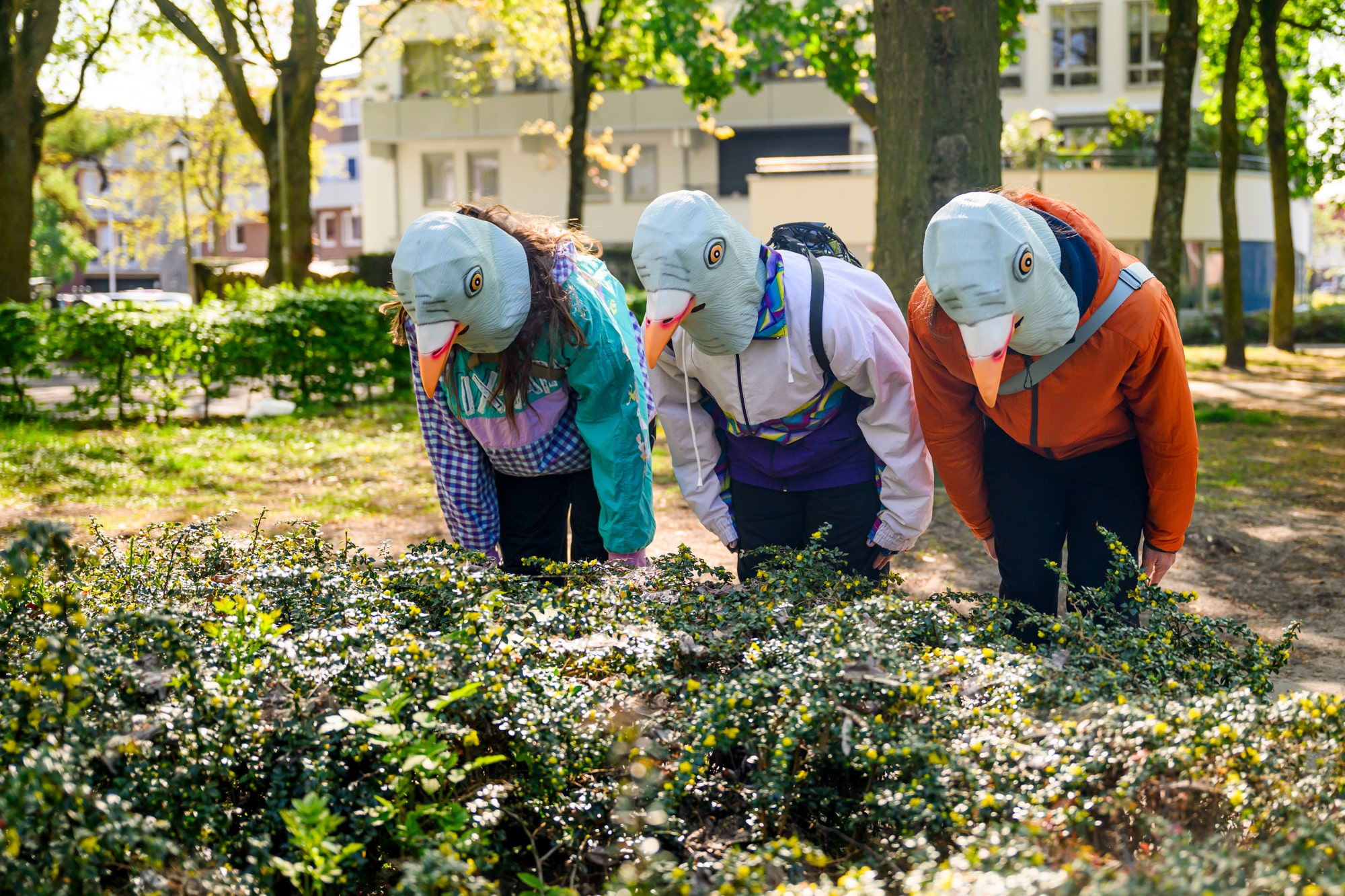 Drie mensen met vogelmaskers op hun hoofd
